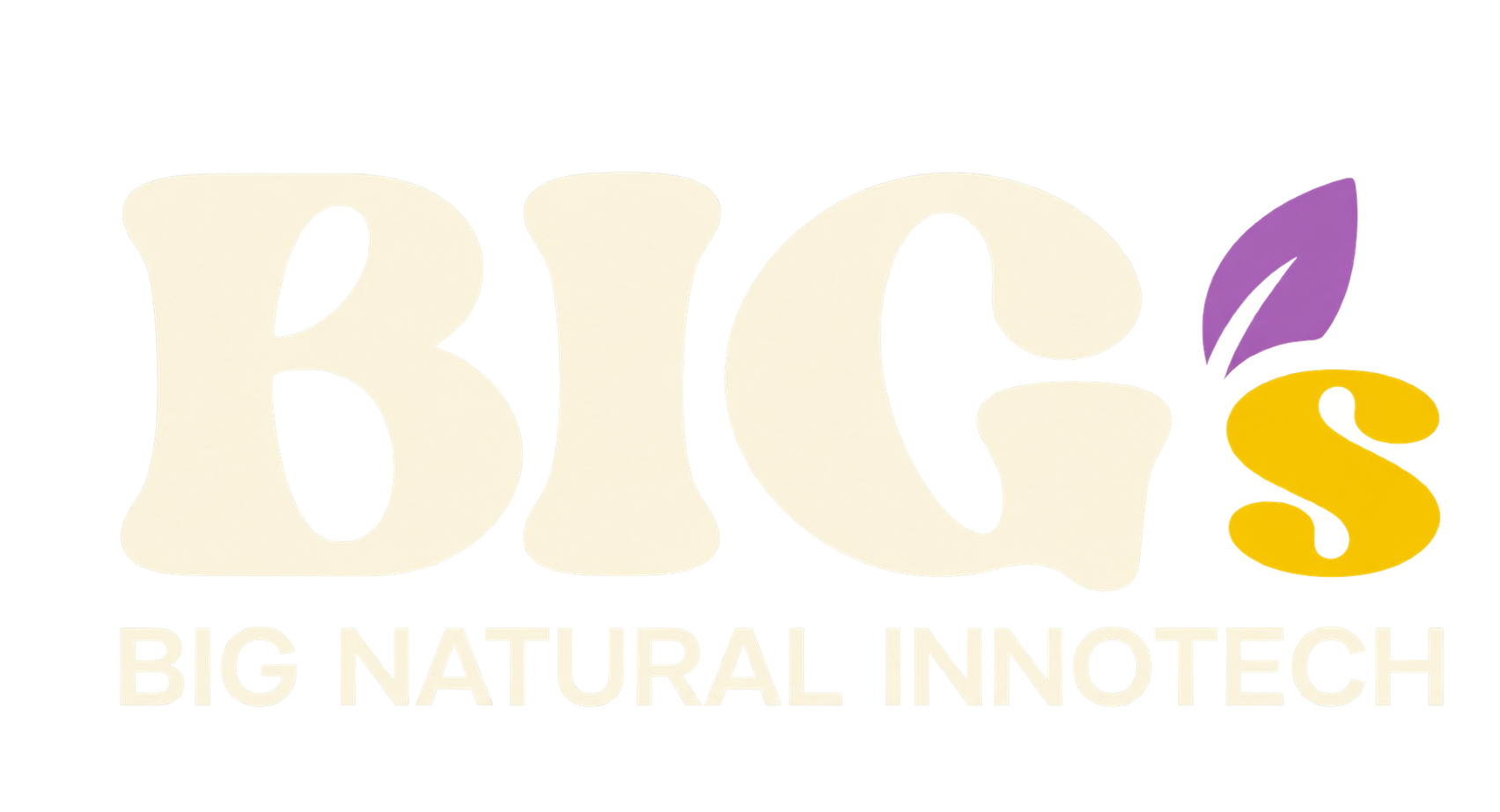 BIGs — BIG NATURAL INNOTECH